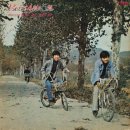 바다의 여인 / 사월과 오월 (1976) 이미지