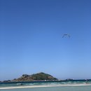 반하크라 이미지
