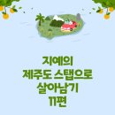 [제주도스탭으로살아남기] 11. 꾸미 입양/1박2일 제주여행