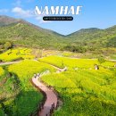 모두두모 | 남해 두모마을 유채꽃 메밀꽃단지 파라다랑스 유채꽃밭 카페 위치 주차장 개화상황