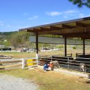 양평양떼목장 이미지