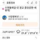 안다미로넷