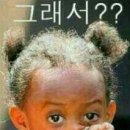 샤키 이미지