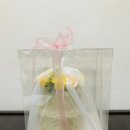 라벨플로라 이미지