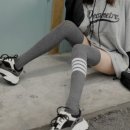 셀라 이미지