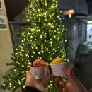 분당야탑2-A-7 | 분당 야탑 젤라또 아이스크림 오오스 내돈내산 | 맛 후기, 단골