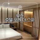 더포레스파 이미지