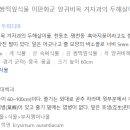 울릉도꼬마김밥 이미지