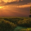 허상과 실상의 공존 이미지