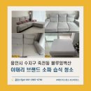벽산 | 이태리 핸드메이드 소파 생활 오염 제거_용인시 수지구 죽전동 블루밍벽산아파트 습식 청소 후기