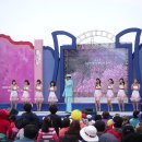 전남 여수 영취산 진달래 축제...2009년 이미지