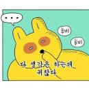 레코드비 이미지