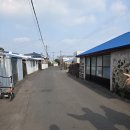 카페 청굴물 [제주도] 용천수 뷰가 장관인 <b>카페</b>, <b>청굴물</b>