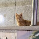 바보면가 | 여수 칼국수맛집 날씨가 추운날에는 문수동 *생생면가 칼국수*