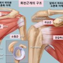 더우아 이미지