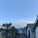 블루웨일 빌리지 이미지