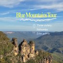 (주)뉴에코 | 블루마운틴투어 카툼바마을, 에코포인트 ,세자매봉,엘리자베스전망대까지