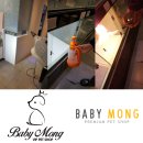 베이비 몽 이미지