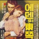 에덴의 동쪽 ost / Mantovani Orchestra 이미지