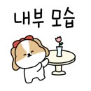 수원산흑염소