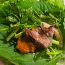 박찬숙순대국 이미지