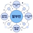 알부민의 효능 7가지와 수치 관리 이미지