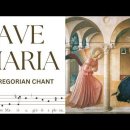성모송을 이렇게 기도해 봅시다. (Ave maria) 이미지