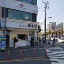 여수달구나