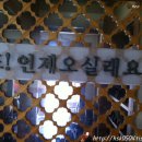 살구나무집 이미지