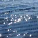 달이뜨는바다