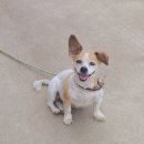 학표농자재 이미지