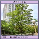 문현아이파크 이미지