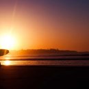 미역의 효능부터 미역국 칼로리, 미역줄기 부작용까지 이미지