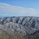 오대산 달빛 이미지