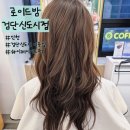 파마나라 컷트마을 | 검단미용실 로이드밤 검단신도시 하이레이어드펌 후기