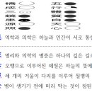 易學醫天人相應 역학과 의학은 하늘과 인간이 서로 통한다는 이치에 근거 이미지