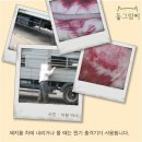 돼지이야기 이미지