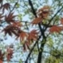 위드치과보철과의원 이미지