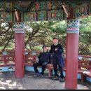 토담식당 이미지