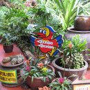 캠프 관광호텔 이미지