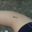 강촌하늘약국 | Once In a Summer