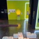 서울시립미술관 서소문본관 [근접한 세계 - 아랍 에미리트 현대미술] (3/3) 이미지