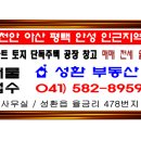 신왕지낚시터 이미지
