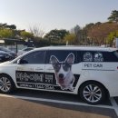 동물제중원금손이 동물병원 이미지