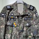 전우군장