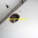 블랙홀PC방 이미지