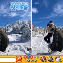 한라산오디