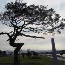 경포호수 3 이미지