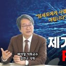 암세포를 스스로 죽게하는 암억제 유전자 RUNX3 모습 이미지