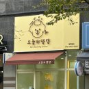 오늘의 댕댕 | 부천 소사본동 오픈형 반려견 미용 오늘의댕댕